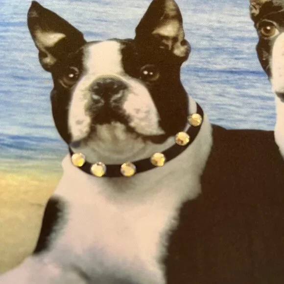 BOSTON TERRIERS | Print hand bag with Rhinestones-EUC - Picture 10 of 16